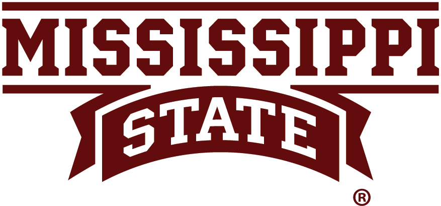 Mississippi State Bulldogs 2009-Pres Wordmark Logo diy fabric transfer